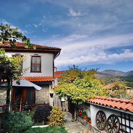 Hotel Iliikova House Kalofer Exterior foto
