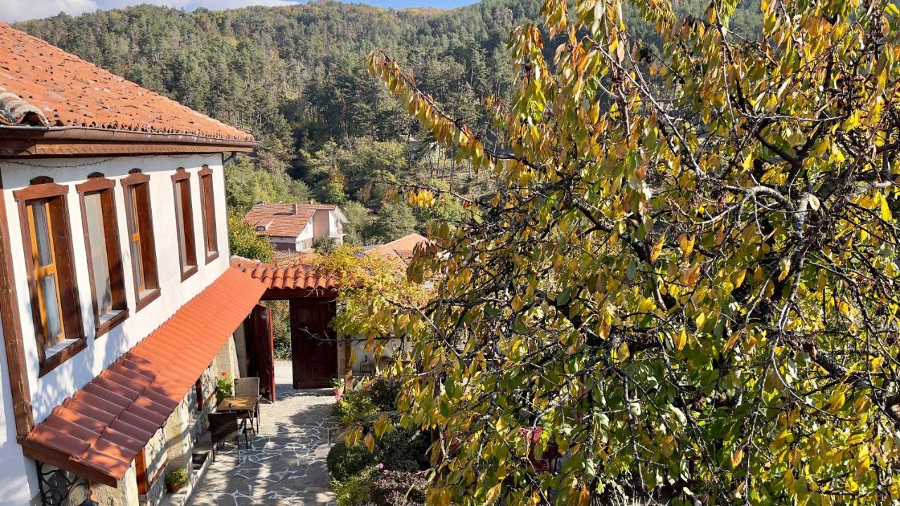Hotel Iliikova House Kalofer Exterior foto