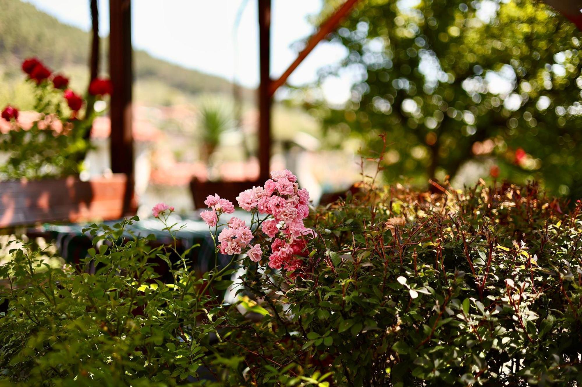 Hotel Iliikova House Kalofer Exterior foto